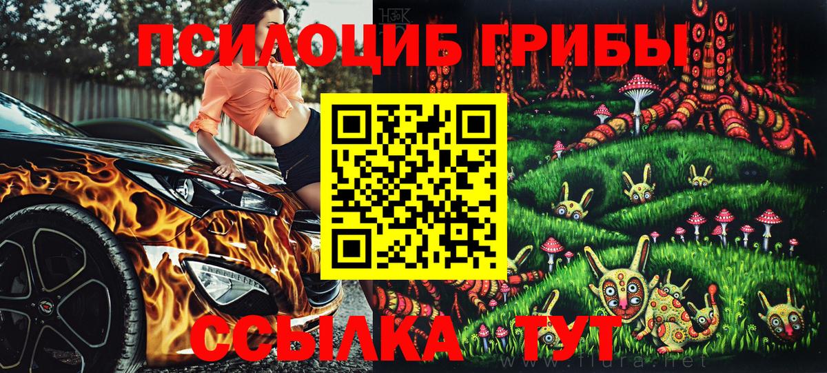 Галлюциногенные грибы мухоморы  Вход с VPN  Северобайкальск 